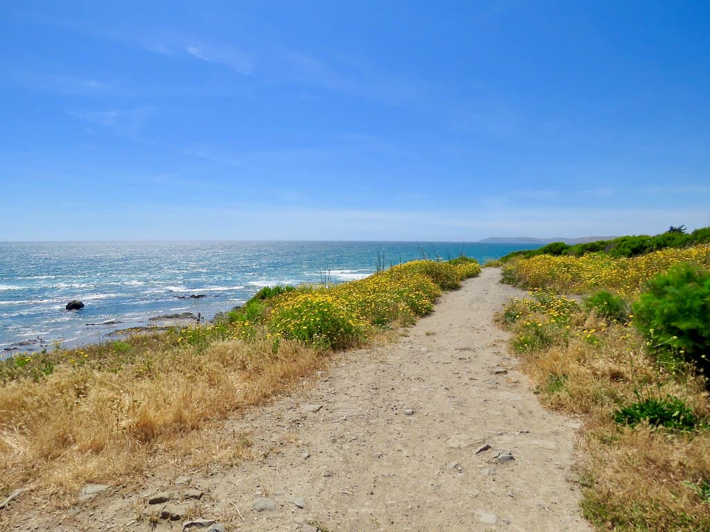 The Path to the Beach