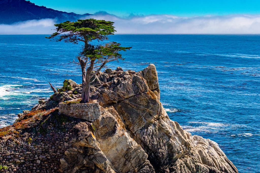 Del Monte Beach — photo by CDay DaytimeStudios w > 2 Million views