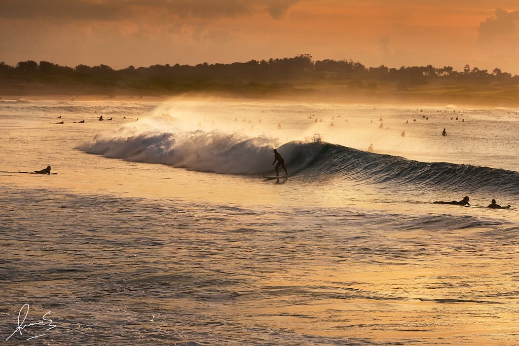 Dee Why Surfers