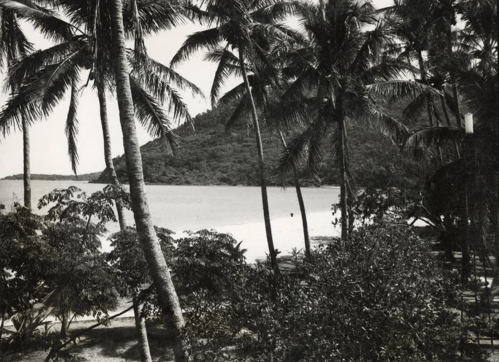 Brampton Island, Beach