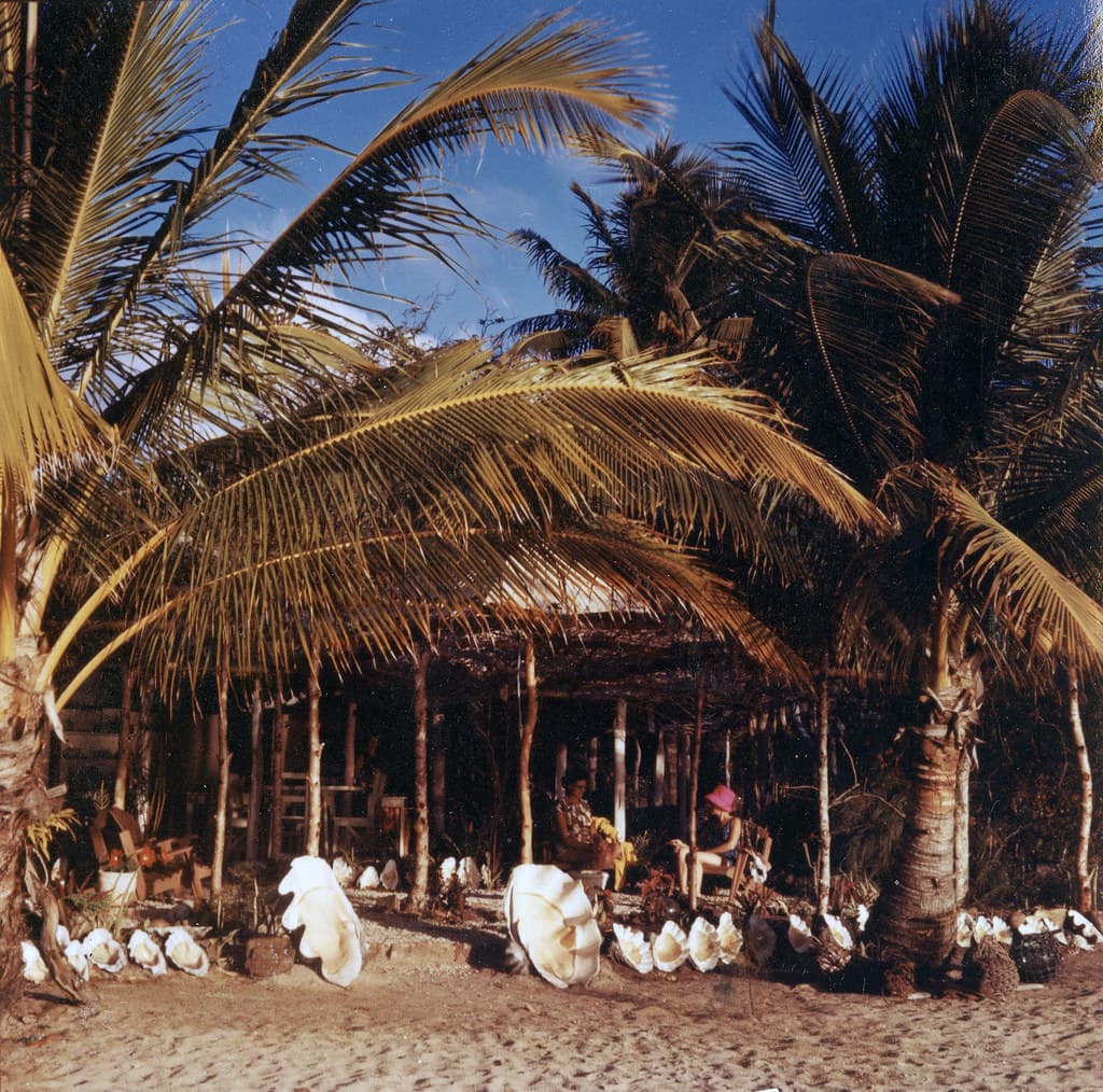Orpheus Island, Barrier Reef