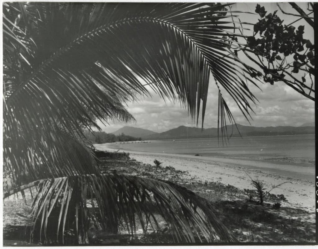 Dunk Island Beach