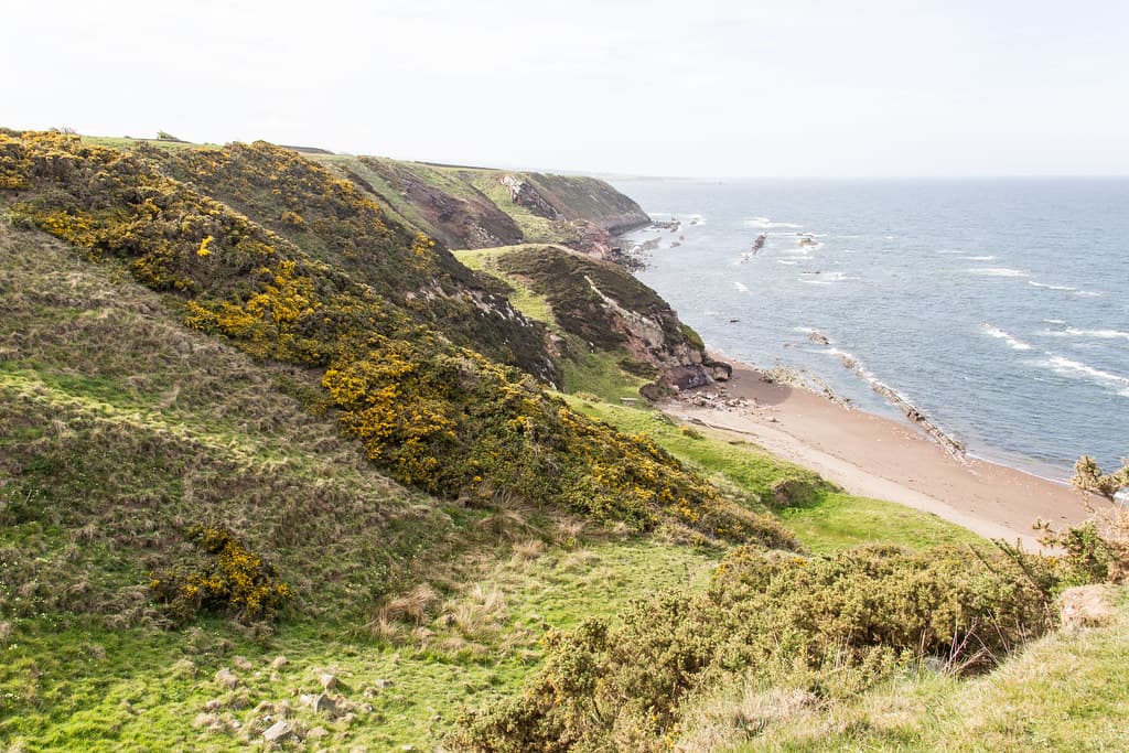 Cheswick Sands — photo by Billy Wilson Photography