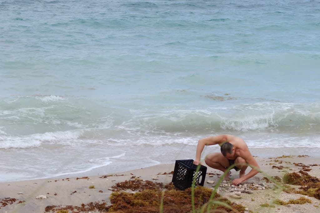 Beachcombing in South Florida in Did you mean: von mises  Search Results Web results  Dr. Von D. Mizell-Eula Johnson State Park in Dania Beach, Florida in Broward County