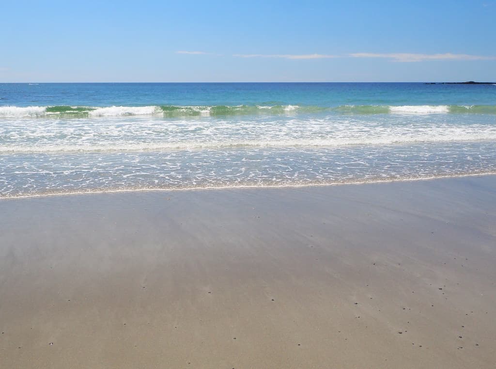 Gooch's Beach