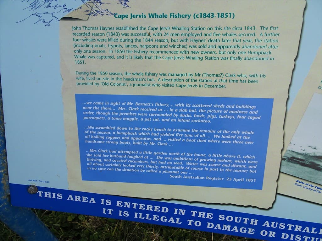 Fishery Beach near Cape Jervis on the Fleurieu Peninsula. Information board on the history of whaling at this site 1843 to 1851.