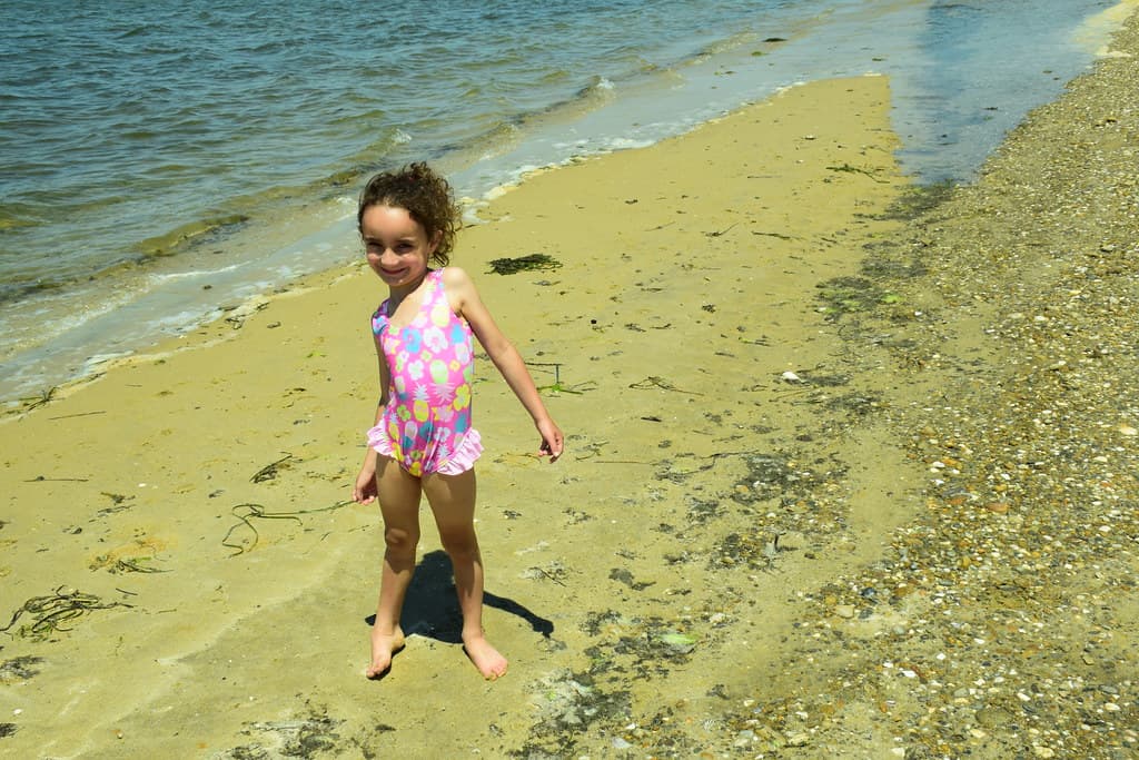 Joseph Sylvia State Beach
