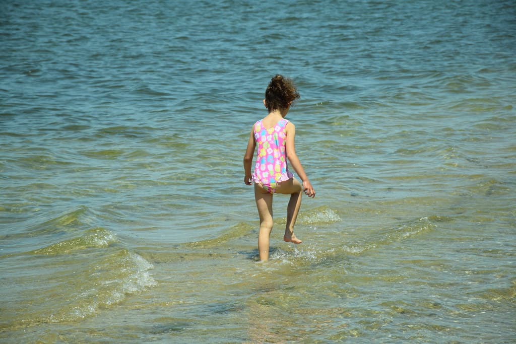 Joseph Sylvia State Beach