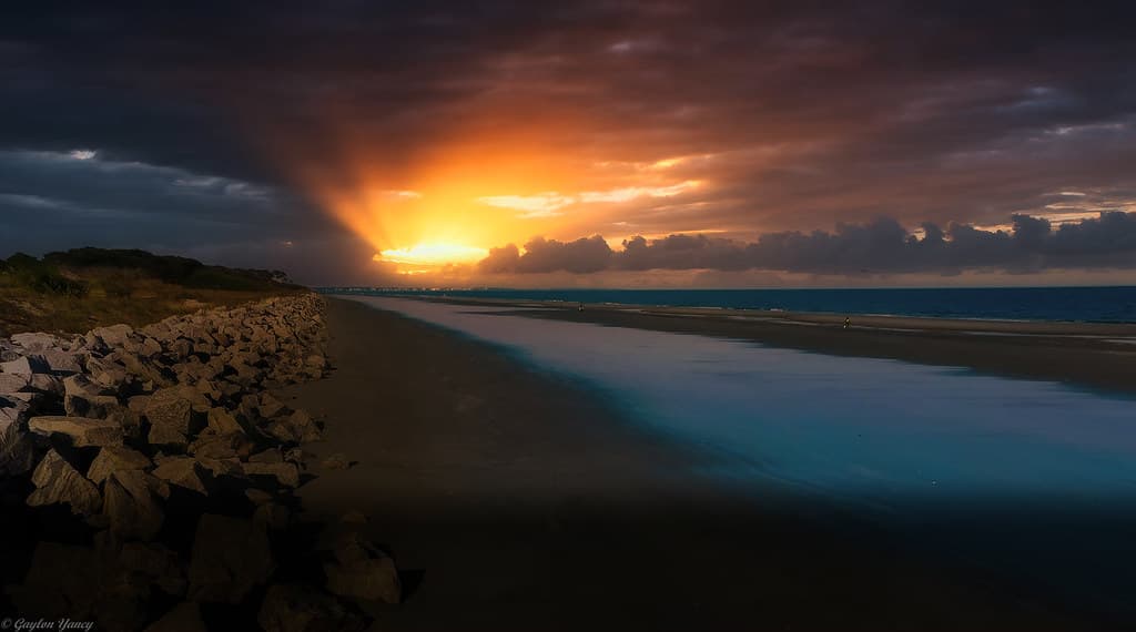 Gulf of Mexico  - Georgia