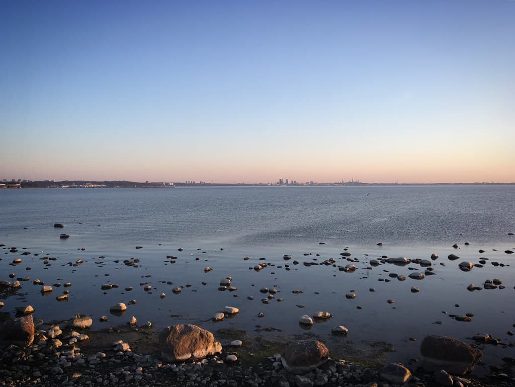 Rohuneeme Beach — photo by sergei.gussev
