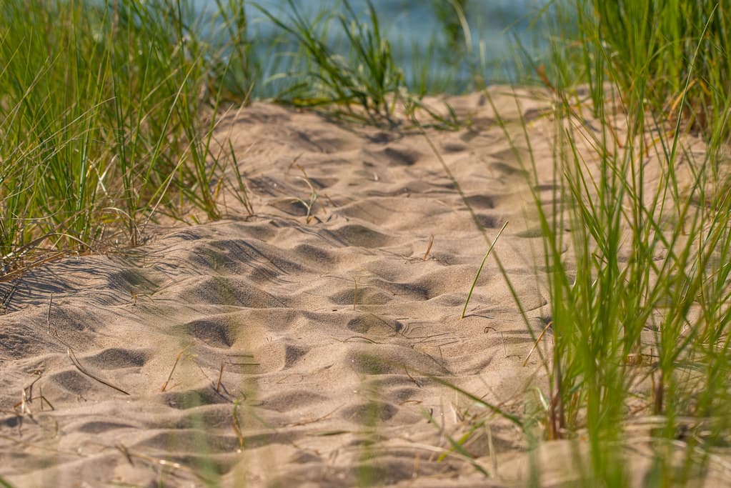 How Do We Find Our Way If The Wind Has Covered Our Tracks?