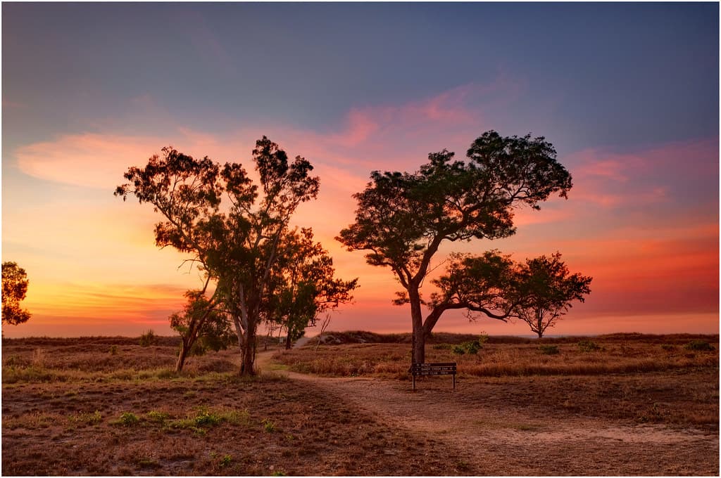 Another interesting dry season (mid-winter) twilight image - Casuarina Beach track, Darwin Harbour, NT, Australia