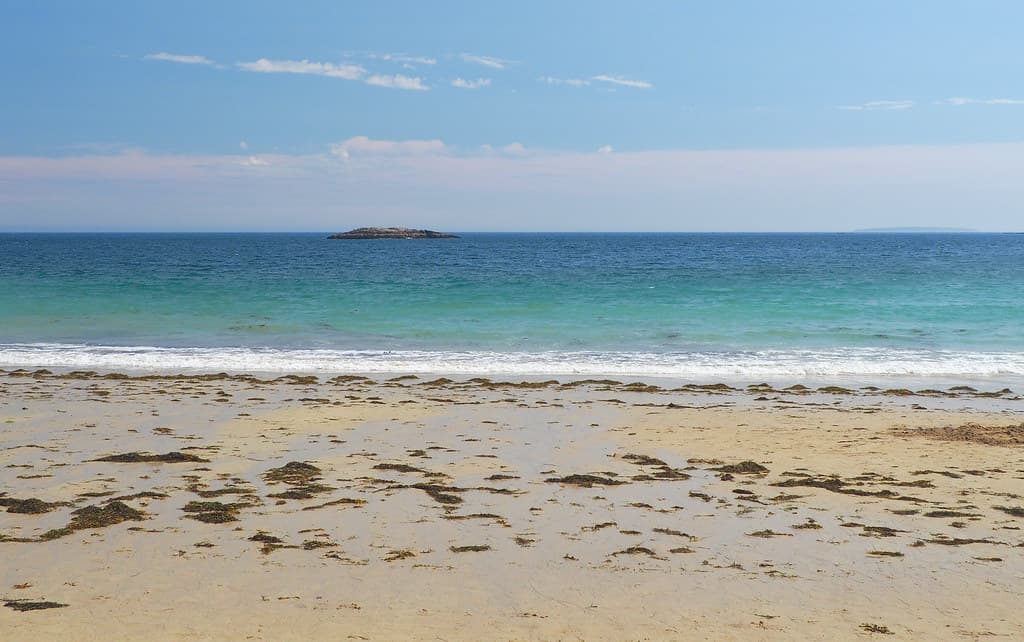 Arcadia Beach
