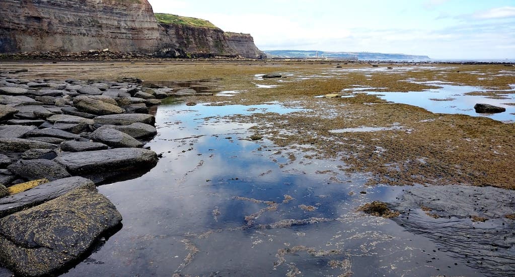 Whitby Beach — photo by Alchimiæ