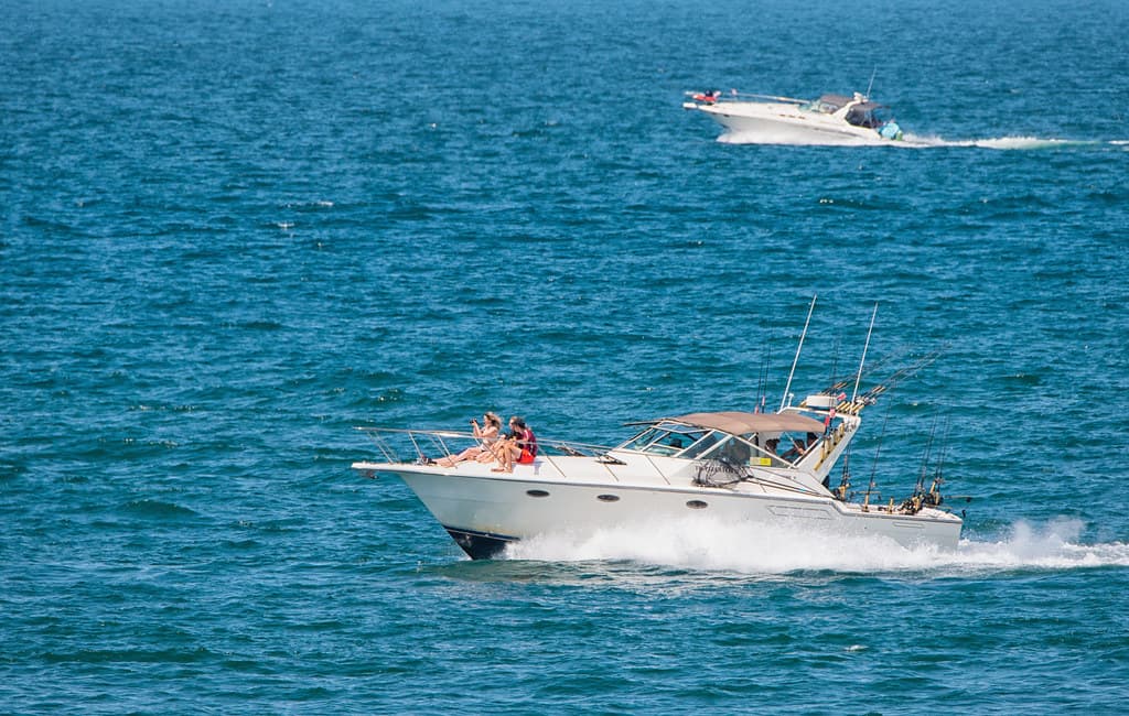 Cruising The Coast