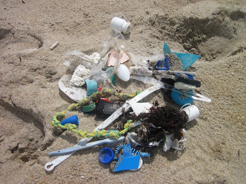 Florida beach cleanup 06