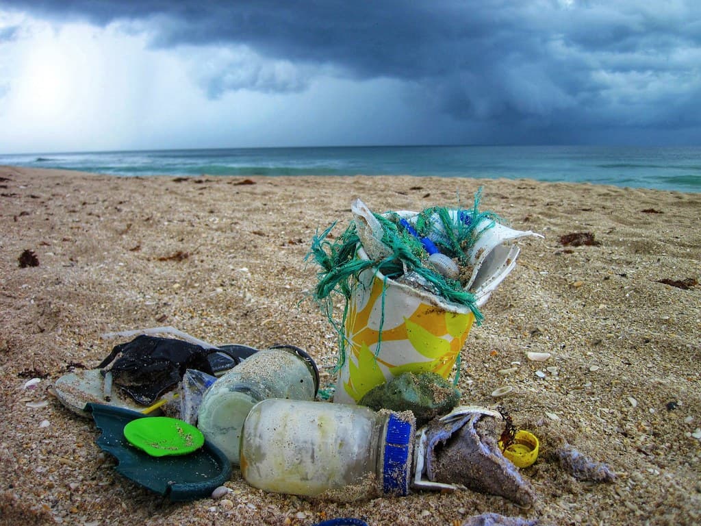 Florida beach cleanup 01