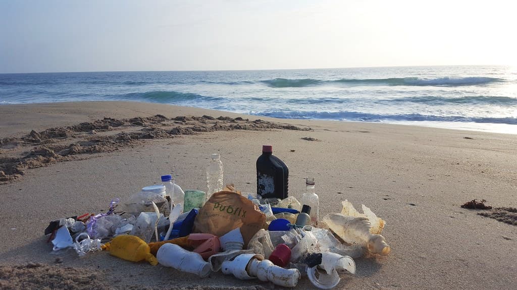 Florida beach cleanup 07