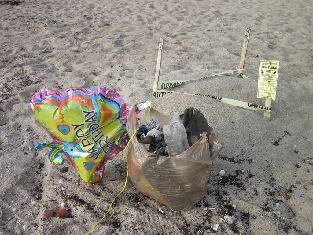 Florida beach cleanup 05