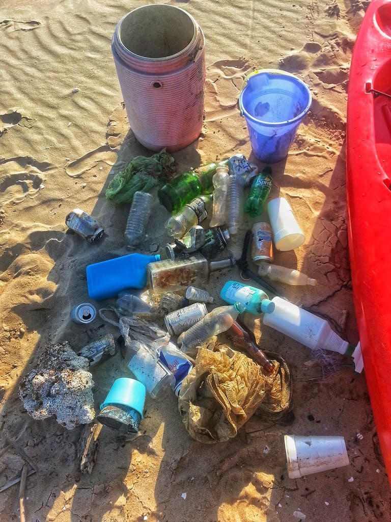 Florida beach cleanup 03