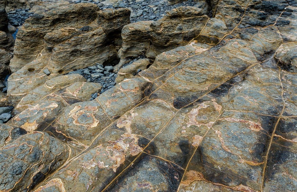 Flinders Beach