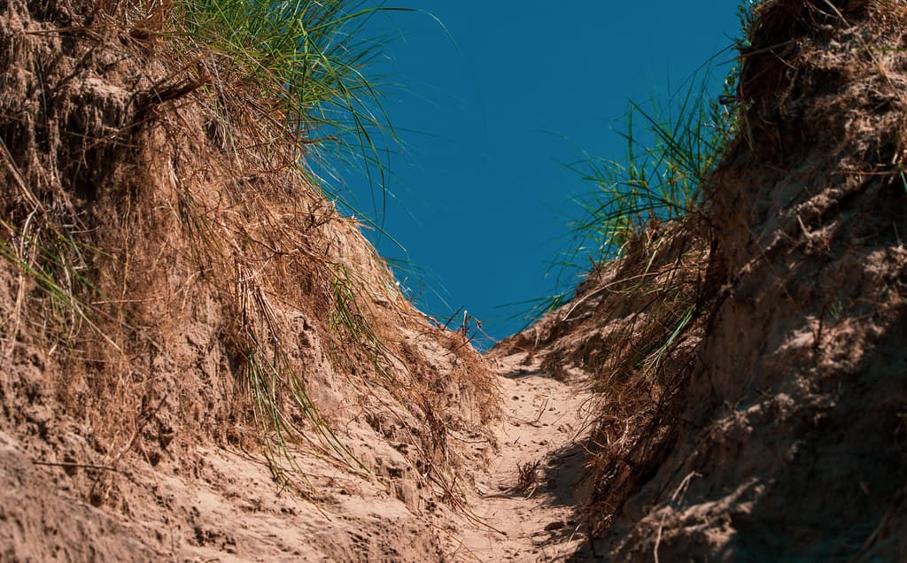 The Sandy Trail
