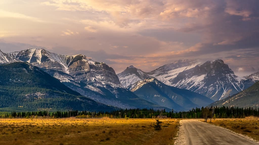 The Road to New Heights