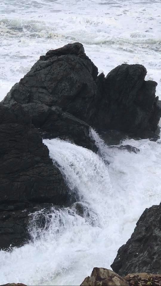 Chetco Point Park