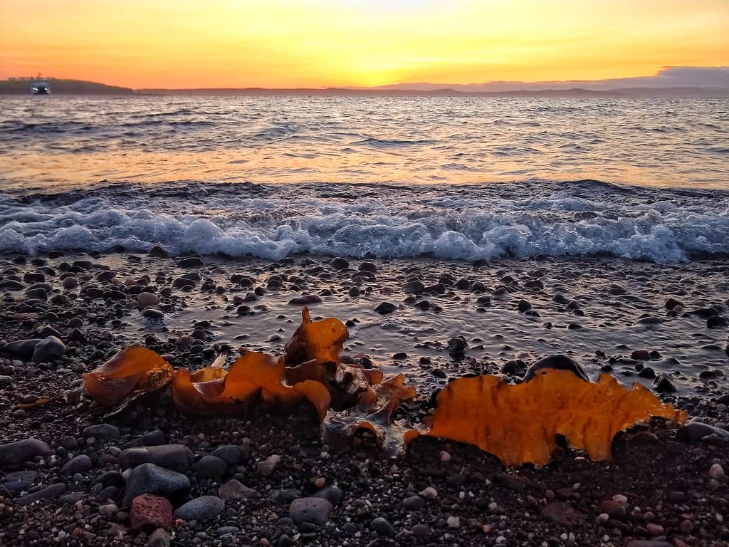 Largs Beach — photo by tubblesnap