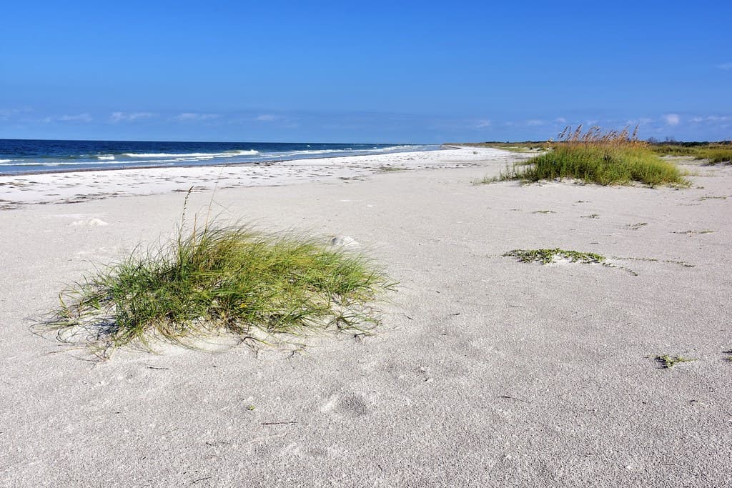 Fort de Soto Park