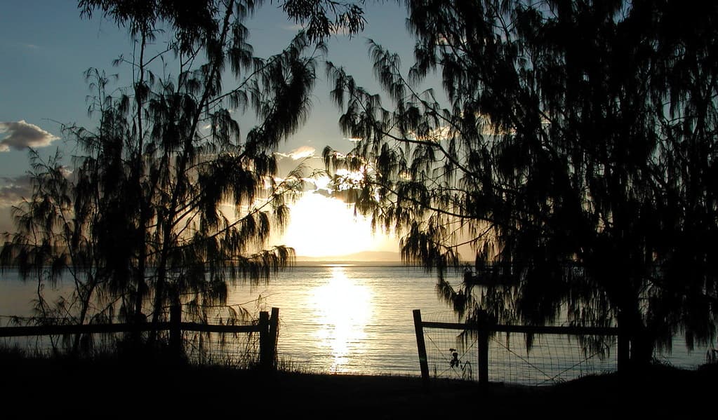 The track to the beach at sunset