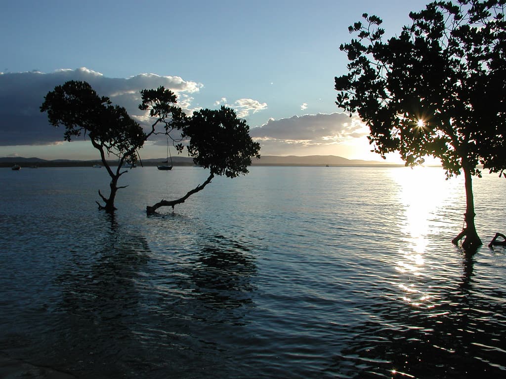 1770 Beach