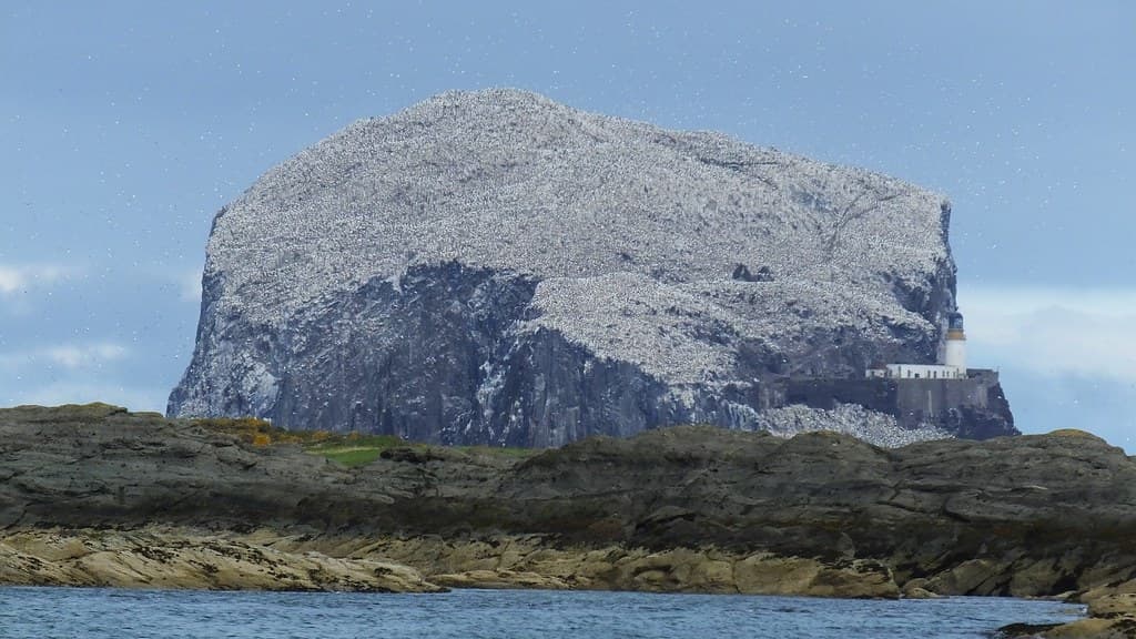 Bass Rock on an Autumn Day 01