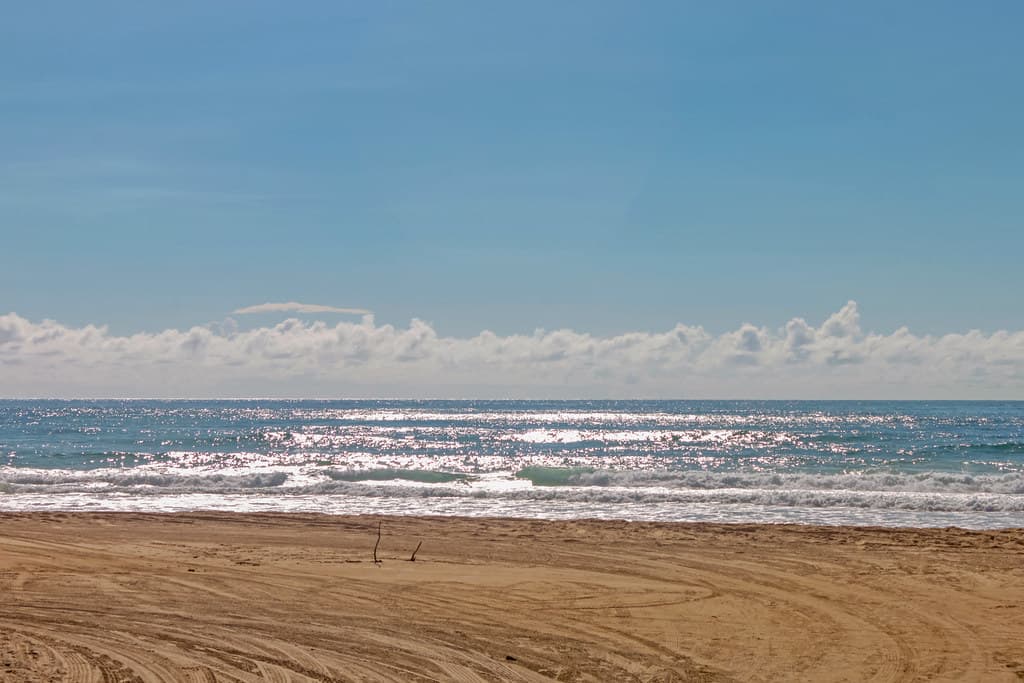 Great Wass Island Beach