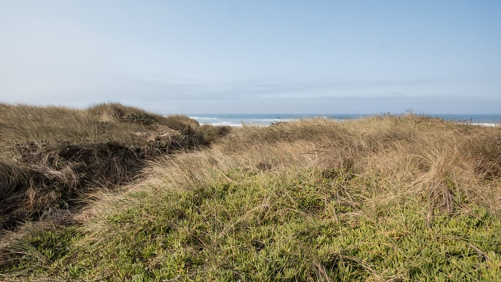 Manchester State Park, Mendocino 10/2/20