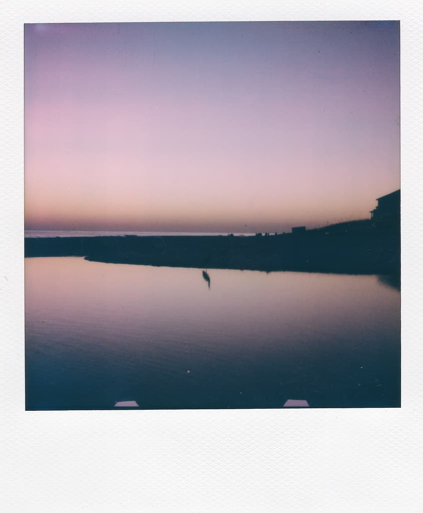 Dune Lake Bird