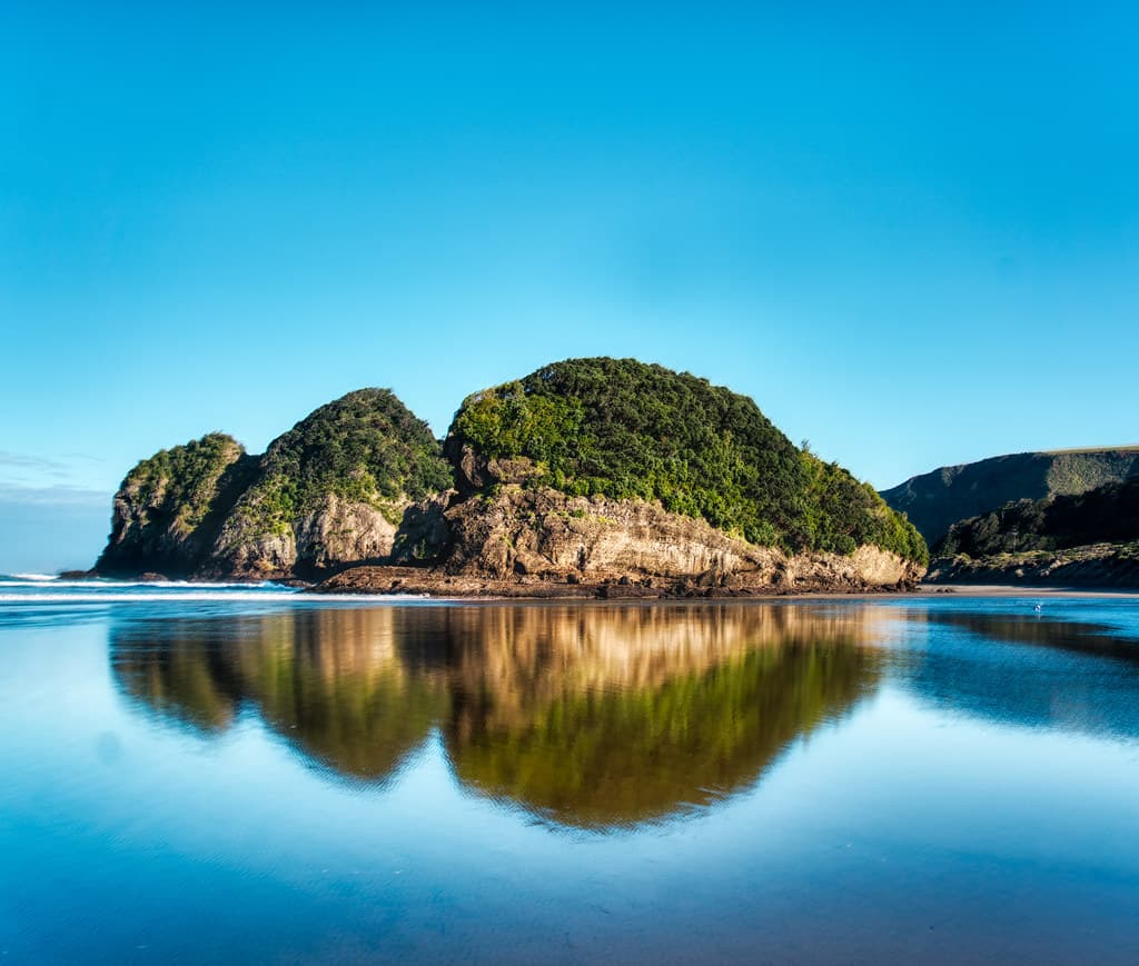 Te Henga