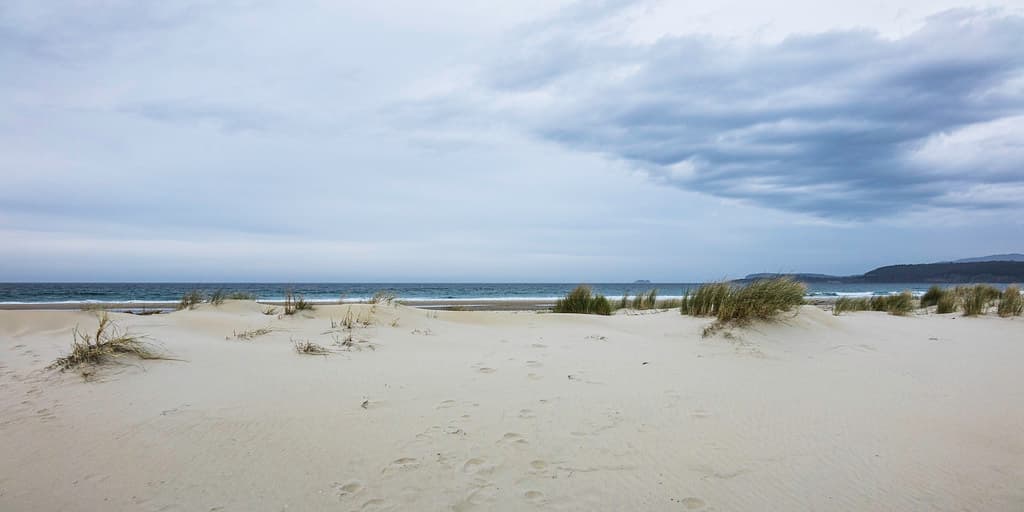 Sharks patrol these waters, Marion Bay, Tasmania