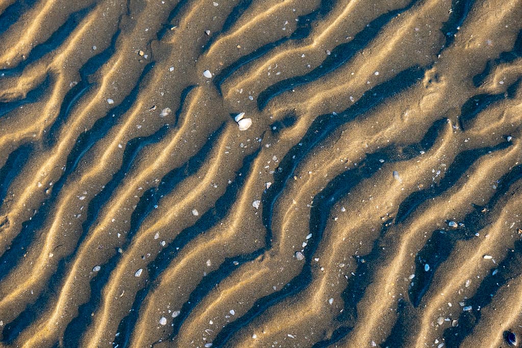 Lido di Classe Beach — photo by tullio dainese