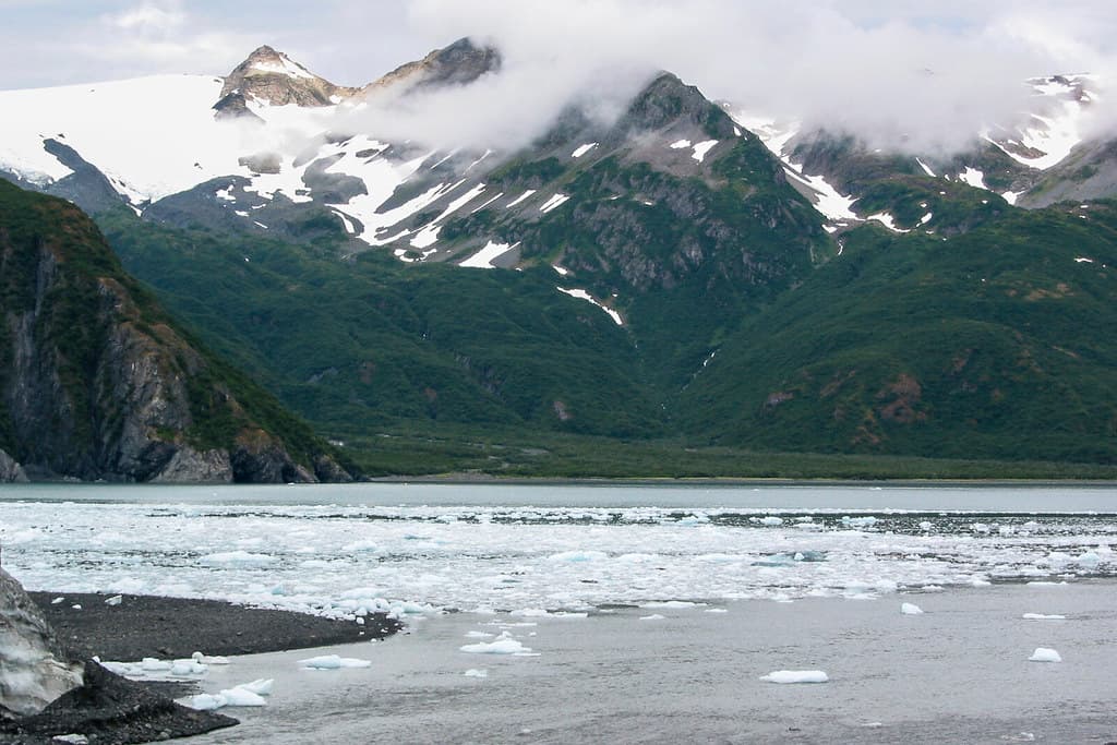 Brash Ice on Aialik Bay