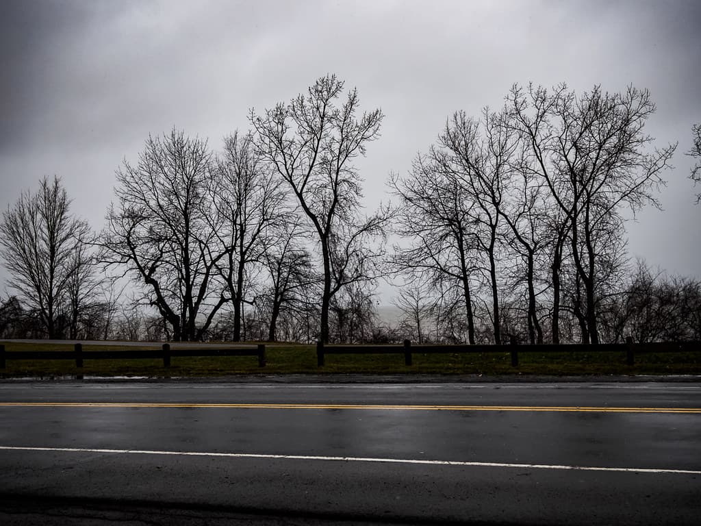 a rainy day on Lake Shore Road
