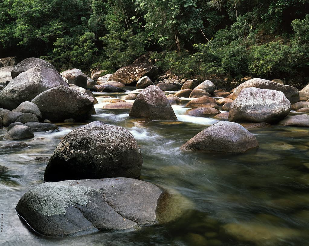 Mossman Gorge, 1998