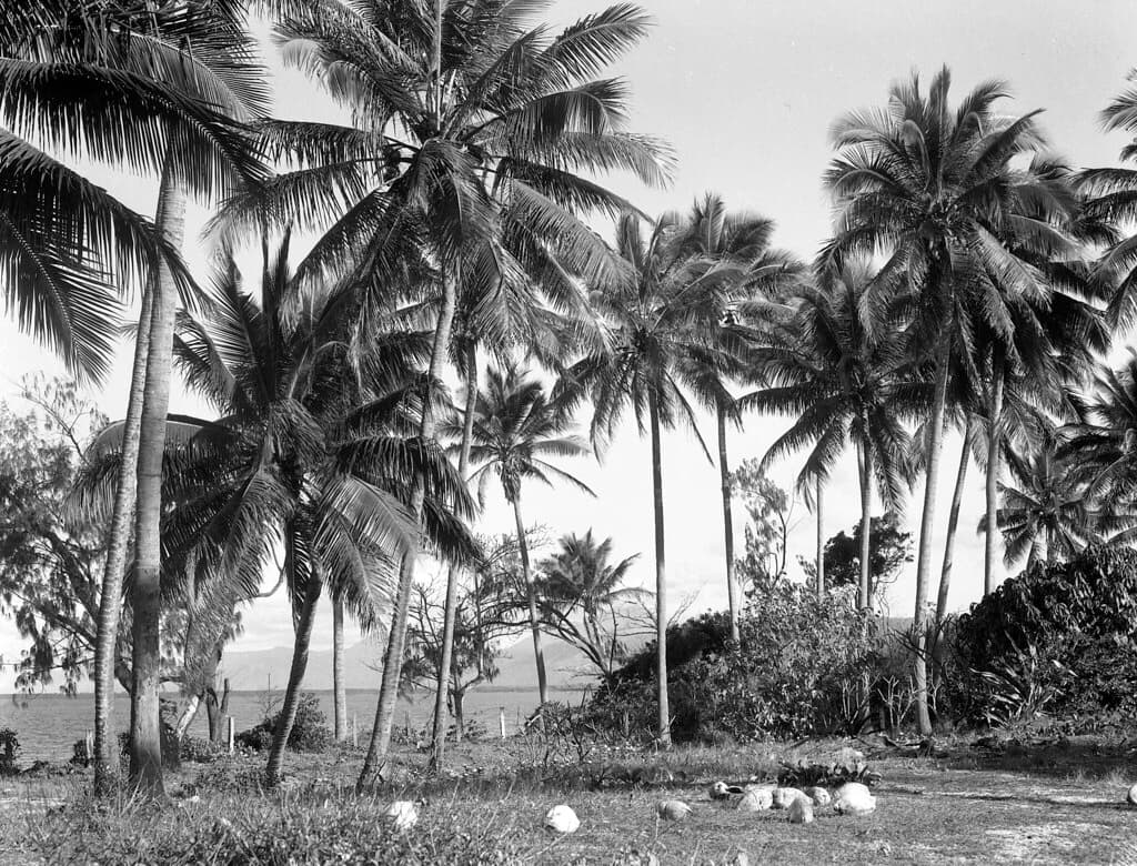 Mission Beach, Mossman, c.1960s