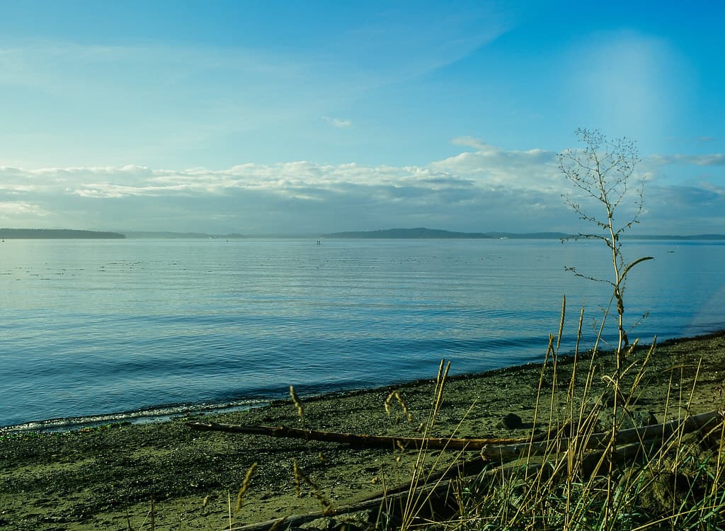 the view west