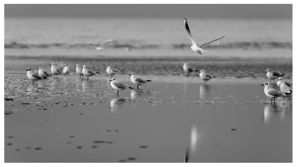 Plage de Cabourg