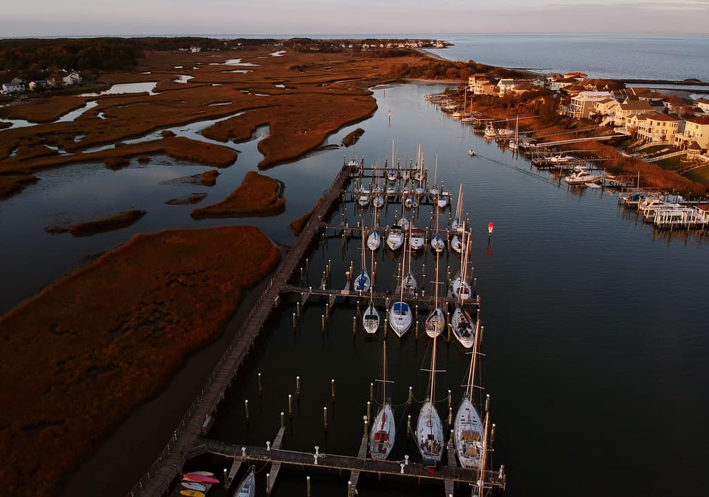 Hampton Salt Ponds