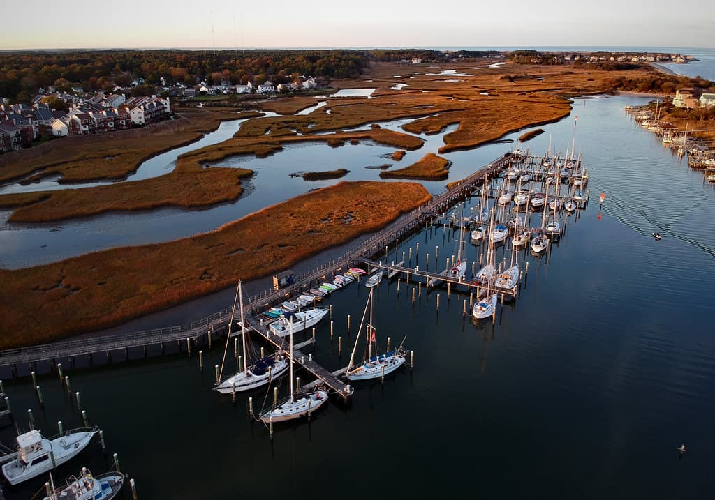Hampton Salt Ponds
