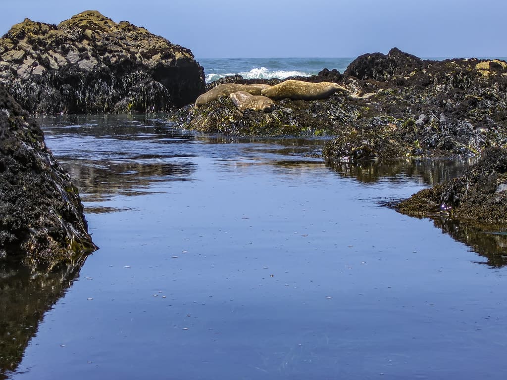 Moonstone Beach 2006 06 18 09