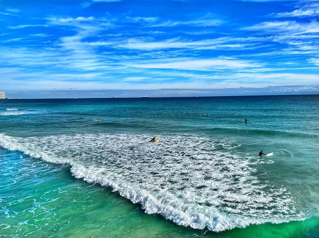 The Wave