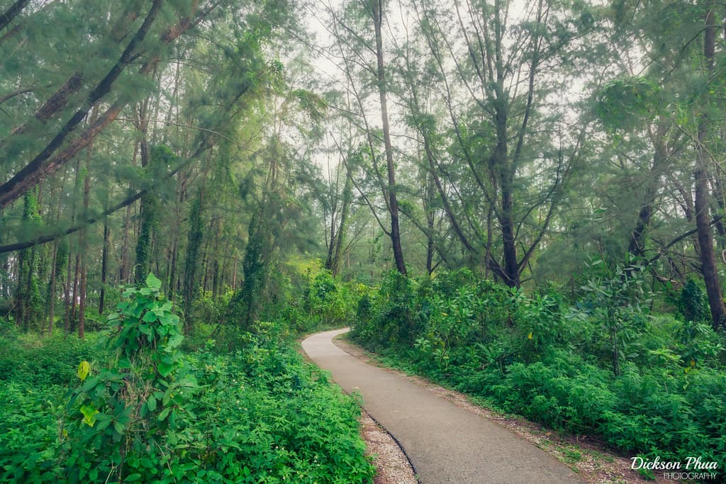 Coney Island: A preserved rural greenery in Singapore